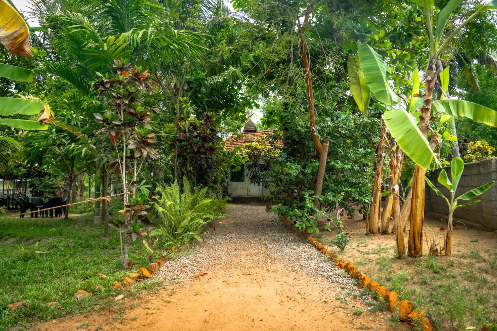 Cliff & Coral Hostel Варкала Екстериор снимка